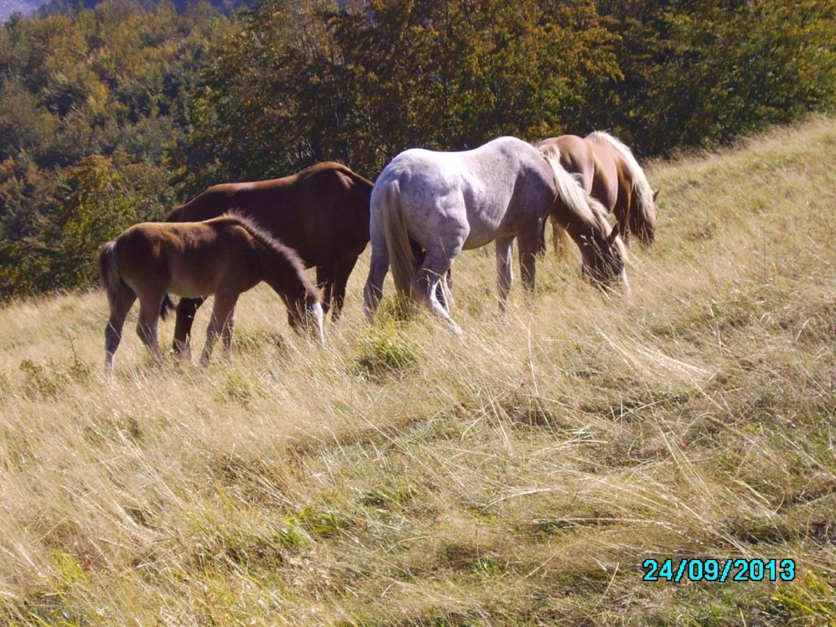 B&B Podere Bramapane Montelungo Superiore ภายนอก รูปภาพ